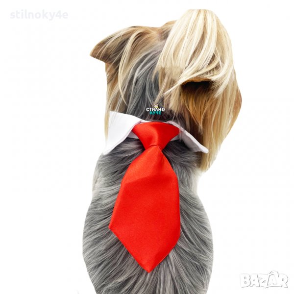 Вратовръзка за дребни, средни и едри породи кучета Кучешки вратовръзки Кучешка вратовръзка/папийонка, снимка 1