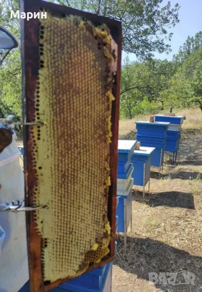 Здравейте приятели продавам 100% чист био мед, снимка 1