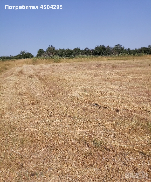 УПИ в землището на село Долно Церовене обл Монтана , снимка 1