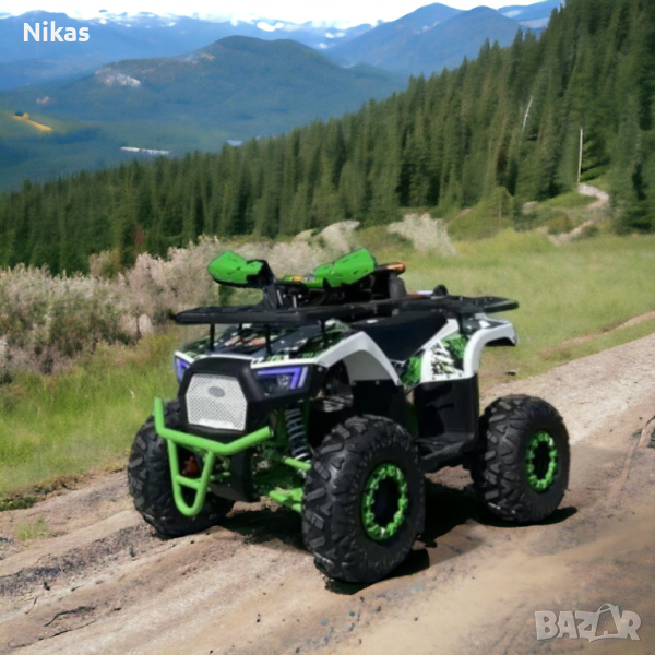 Електрическо ATV MaxMotors Grizzly Tourist 2000W Sport Spirit , снимка 1