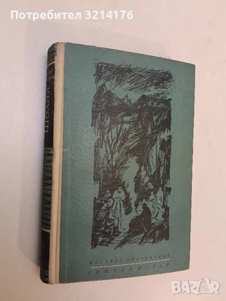 Метеж - Дмитрий Фурманов, снимка 1