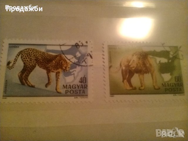 Красива колекция 2 бр. Унгарски пощенски марки с животни 1981 г.