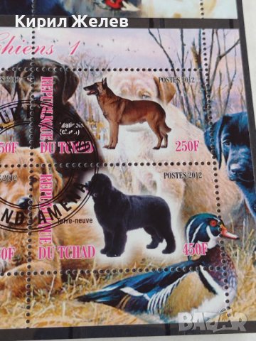 Пощенски марки  чиста комплектна серия КУЧЕТА поща Република Чад за колекция 29545, снимка 8 - Филателия - 37780410