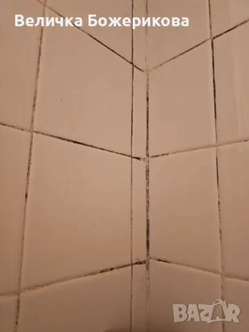 Почистване на домове , снимка 9 - Почистване на домове - 48887963