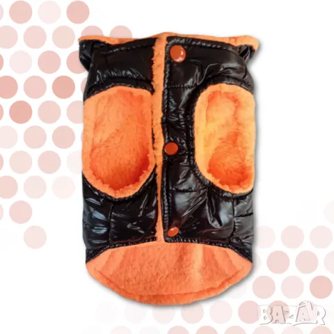 Луксозно Яке за куче с качулка S / M. Кучешки якета. Дрехи за куче. Дрехи за кучета ”Филип Плейн”, снимка 3 - За кучета - 33201749