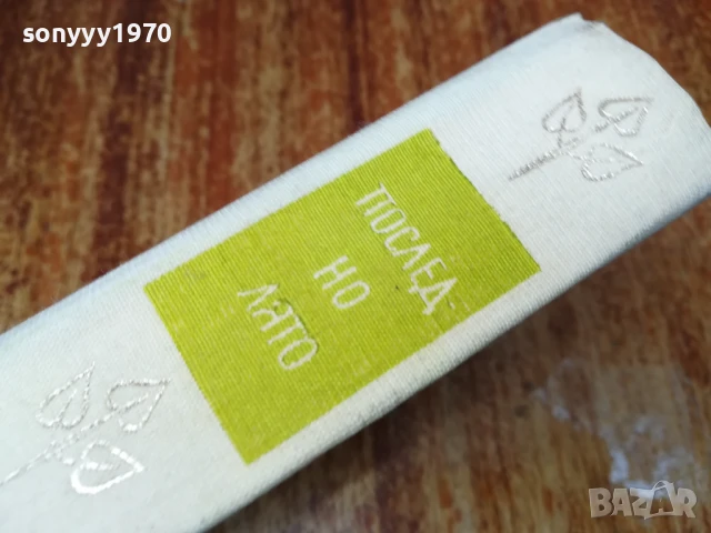 ПОСЛЕДНО ЛЯТО-РОМАН 2507250827, снимка 4 - Художествена литература - 51135584