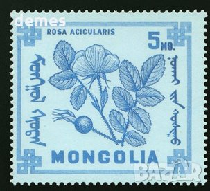 Диви горски плодове на Монголия-8 марки, 1968 г., Монголия, снимка 2 - Филателия - 27971987