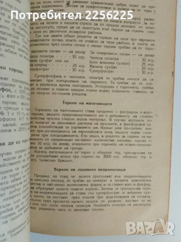 Ръководство по лозарство 1948г, снимка 2 - Специализирана литература - 51112806