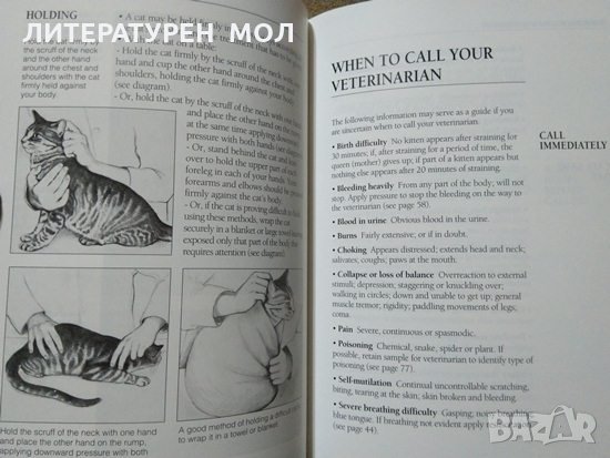 First Aid for Cats: The Essential Quick-Reference Guide. TIM HAWCROFT 1994 г., снимка 4 - Други - 27804370