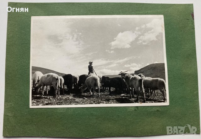 Снимка Кимон Георгиев, снимка 2 - Антикварни и старинни предмети - 39472811