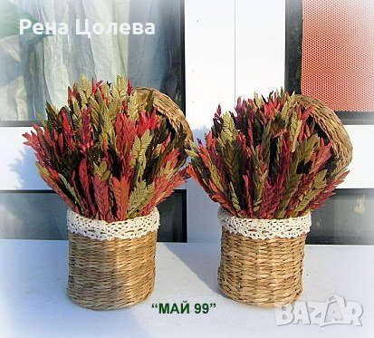 Подарък в кашпа от морска трева, снимка 2 - Декорация за дома - 39381335