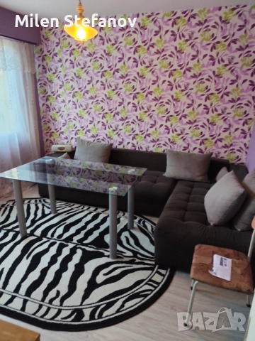 Двустаен Дружба , снимка 3 - Апартаменти - 52139275