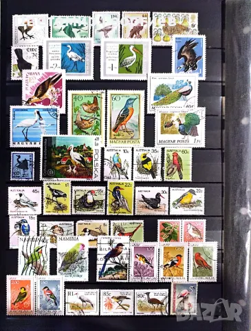 Пощенски марки/птици/. К.1, снимка 2 - Филателия - 48922741