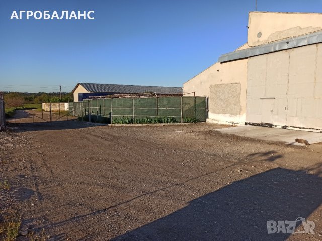 ЗЪРНОБАЗА АГРО БАЛАНС с.БРАНИЩЕ, снимка 13 - Складове - 14236202