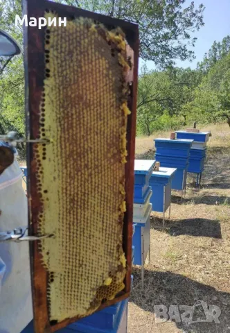 Здравейте приятели продавам 100% чист био мед