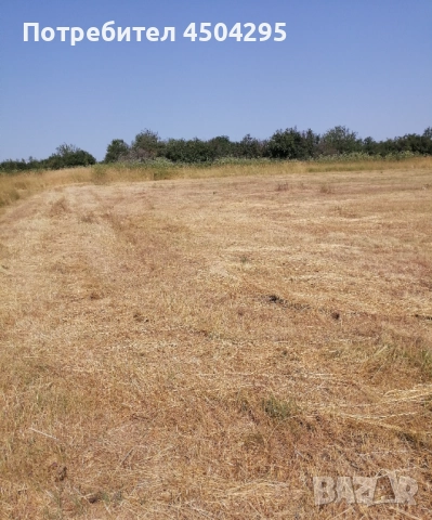 УПИ в землището на село Долно Церовене обл Монтана 