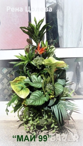 Зелена композиция 75 см.