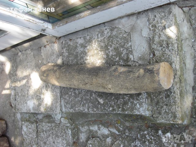 Чемшир - дървен материал за украсна резба, снимка 4 - Антикварни и старинни предмети - 18621658