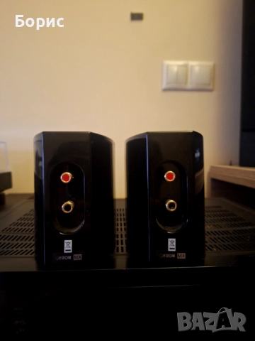 Pioneer vsx 521 / b&w / canton gle, снимка 8 - Аудиосистеми - 52463799