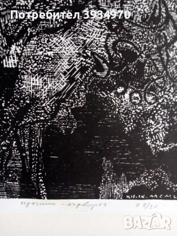 Кртина Златка Дъбова, снимка 3 - Картини - 43652363