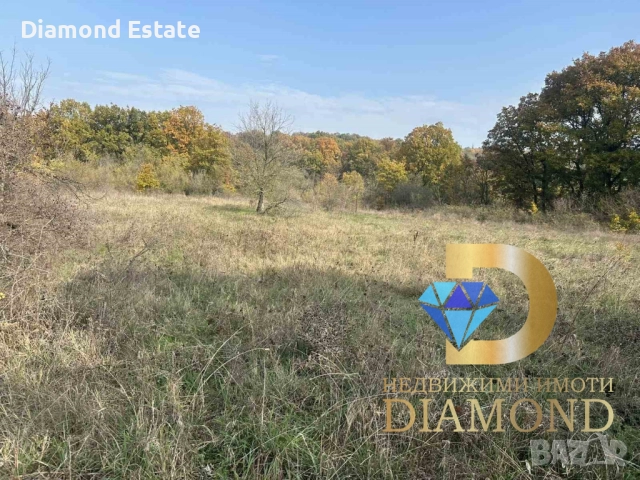 Земеделска земя в село Воден, общ. Димитровград, снимка 3 - Земеделска земя - 52390177