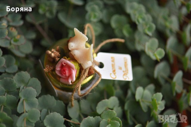 бурканчета с мед. подаръци за сватба, кръщене и други, снимка 8 - Фотографи - 11185528