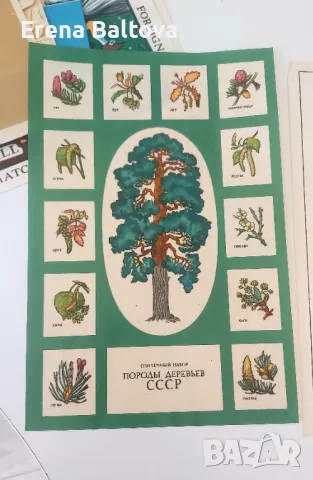 🏕️❤‍🔥🏍️⛽ колекция стари български етикети на кибрит, снимка 5 - Нумизматика и бонистика - 48110080