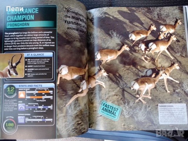 Супер Животните.Твърда корица, снимка 5 - Енциклопедии, справочници - 51723449