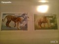 Красива колекция 2 бр. Унгарски пощенски марки с животни 1981 г.