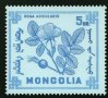 Диви горски плодове на Монголия-8 марки, 1968 г., Монголия, снимка 2