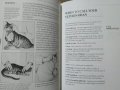 First Aid for Cats: The Essential Quick-Reference Guide. TIM HAWCROFT 1994 г., снимка 4