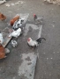 Продавам млади домашни кокошки и петли , снимка 3