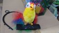 Папагал говорещ,повтарящ думите-18лв/малък/ и Голям папагал - 20 лв, снимка 4
