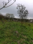 Парцел село Батово, снимка 5