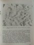 Библиотека Г.Кирков "В Света на планетите - Н. Николов" - 1987г брой 2, снимка 4