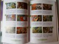 Комикс книга-игра на френски комикси книги-игри, снимка 2