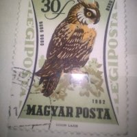 Колекция 2 бр. стари Унгарски марки с птици, 1962 г., снимка 3 - Филателия - 43348615