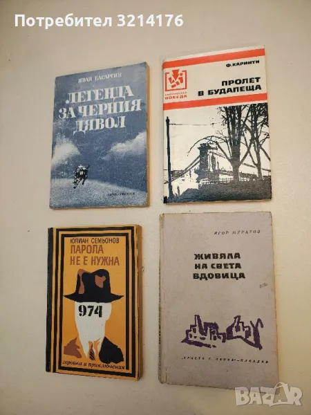 Живяла на света вдовица - Игор Муратов, снимка 1