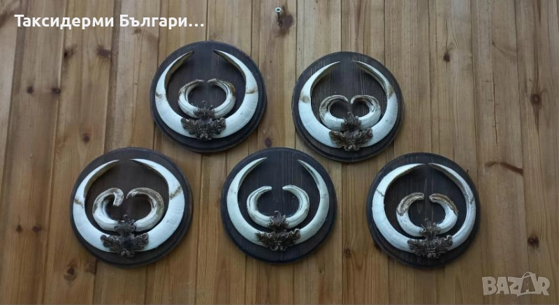 Глигански зъби с поставка, снимка 1