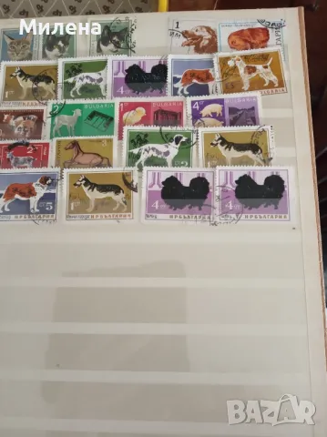 Пощенски марки, снимка 9 - Колекции - 50144253