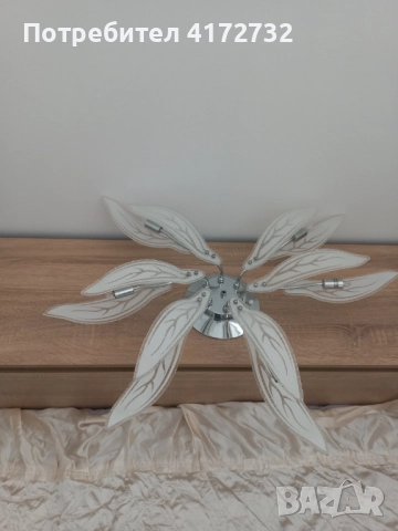 Полилей , снимка 3 - Полилеи - 52224285