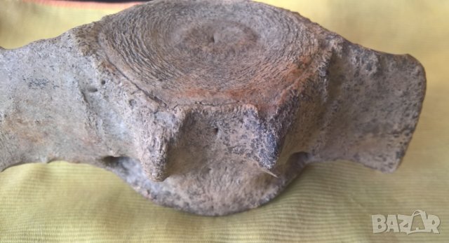 Фосил, прешлен от праисторически кит, снимка 8 - Други ценни предмети - 43285802