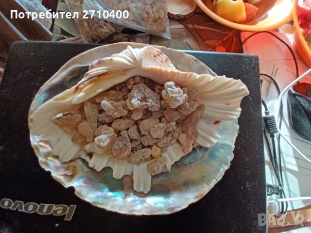 Тамян.Фаворитът.От Оман.Босвелия сакра.Арабски тамян Ходжари От Дофар, снимка 6 - Други - 37083493