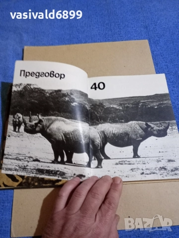 Димо Божков - Великани на континентите , снимка 7 - Българска литература - 52384688