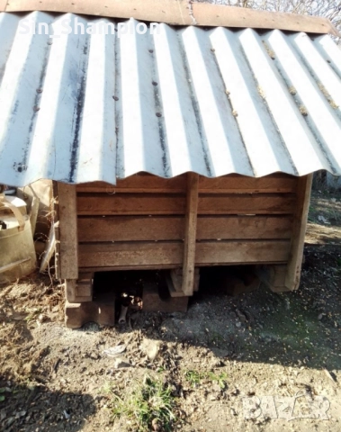 Кучешка колиба , снимка 2 - За кучета - 52953490