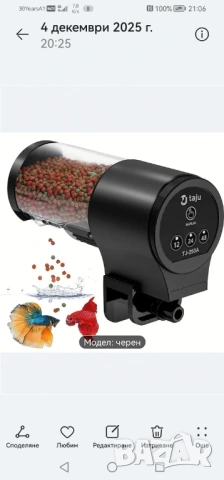 Продавам растения Пистия и други, снимка 7 - Други - 53020473