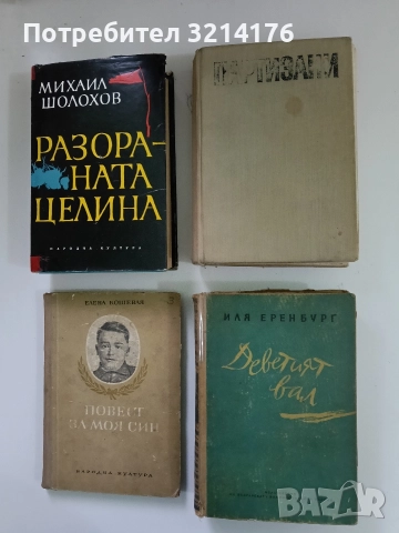 Партизани - Иван Гинчев-Йонко (1969)