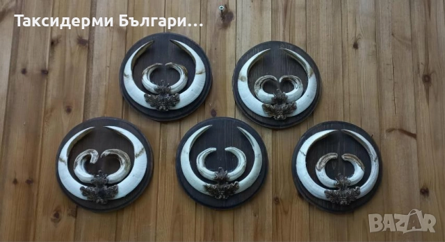 Глигански зъби с поставка