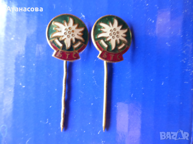 Значка Еделвайс БТС емайл, снимка 4 - Колекции - 44865718