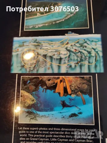 Diving Guides x3, снимка 5 - Специализирана литература - 47936935